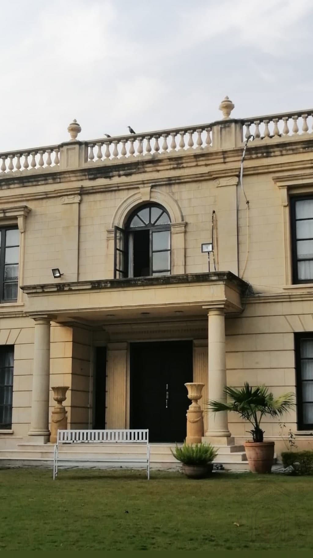 Classical facade ornament