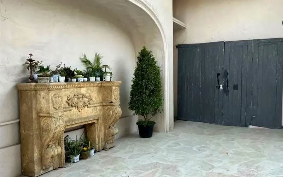 Carved fireplace surround: Fireplace