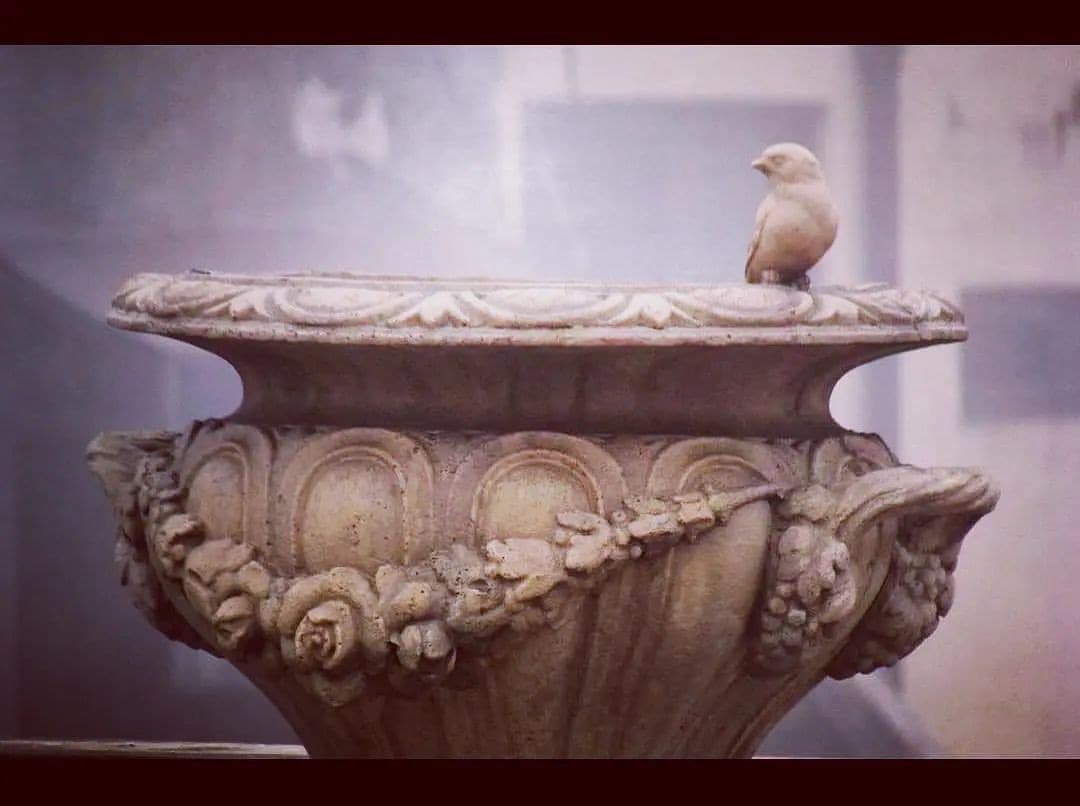 Stone garden piece: Instagram Photos