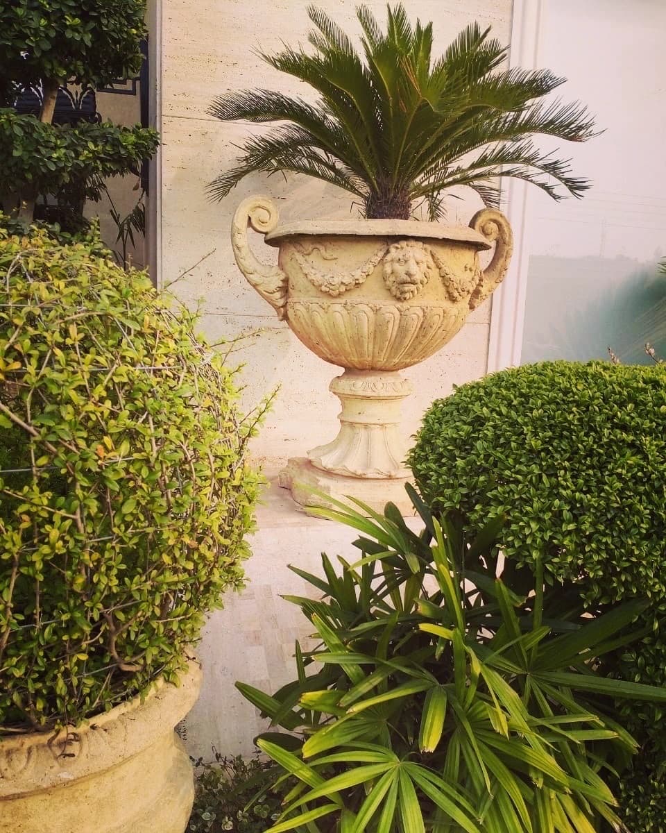 Classical urn planter: ᴀ ʙᴇᴀᴜᴛɪꜰᴜʟ ʙᴏꜰʏ ᴘᴇʀɪꜱʜᴇꜱ